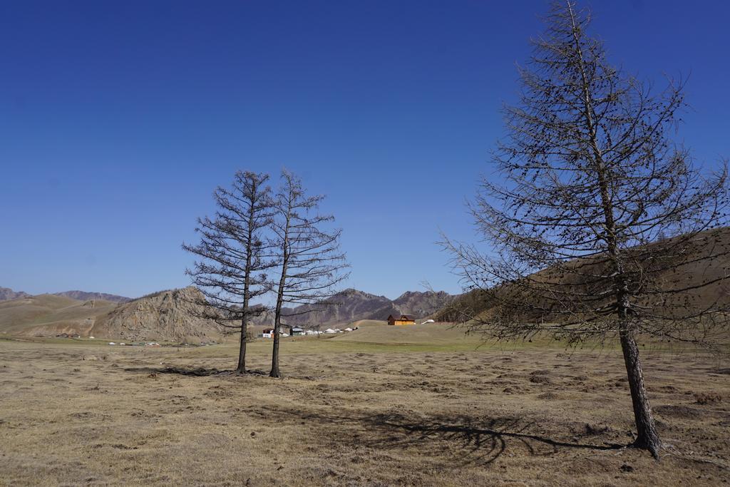 My Mongolia Eco Ger Camp Nalayh Exterior foto
