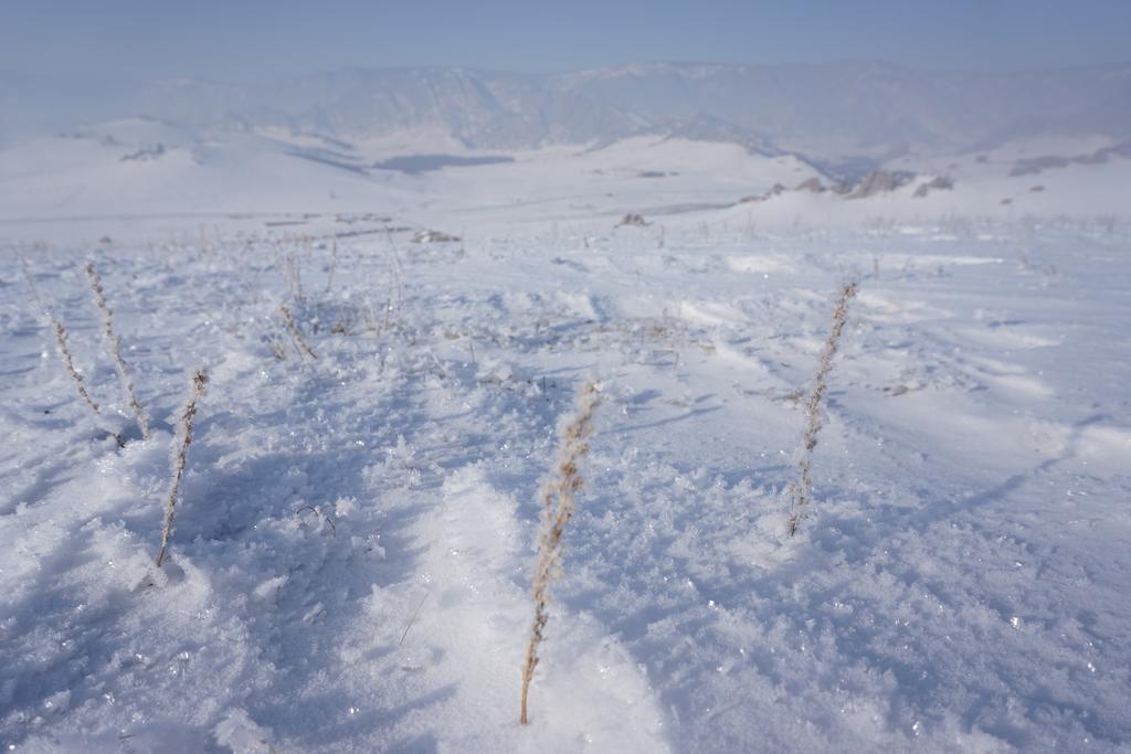My Mongolia Eco Ger Camp Nalayh Exterior foto