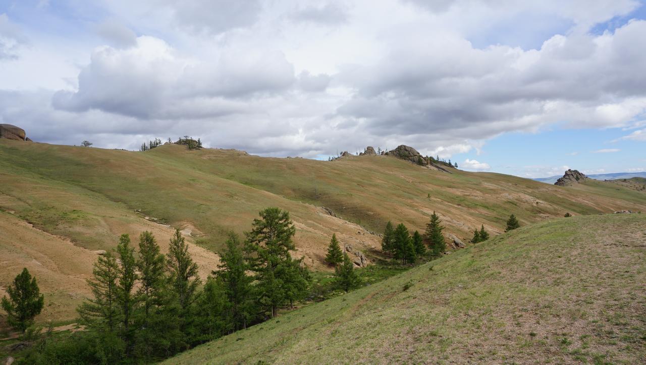My Mongolia Eco Ger Camp Nalayh Exterior foto
